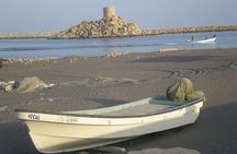 Discover the South and Wadi Shab from Muscat