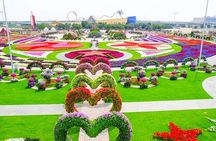 Miracle Garden: Dubai Flora and Fauna 4-Hour Tour