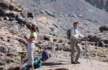 Day Excursion in the Atlas Mountains & lunch in local village