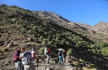 Day Excursion in the Atlas mountains