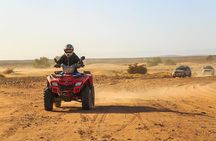 Quad and Camel ride in the palmgrove of Marrakech