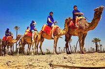 Quad and Camel ride in the palmgrove of Marrakech