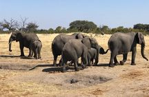 Five-Day Hwange NP, Chobe NP and Victoria Falls Combo