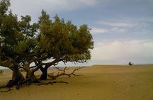 Experience In the footsteps of the nomads