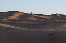 Experience In the footsteps of the nomads