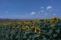 Private Countryside tour from Kyiv