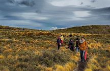 Beagle Channel Navigation with Minitrekking