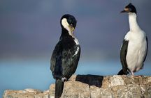 Beagle Channel Navigation with Minitrekking