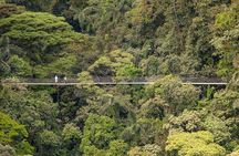 Hanging Bridges Nature History Private Walking Tour
