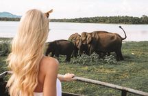 4 Days Essence Of Sri Lanka