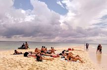 Sandbank Picnic and Dhow Sailing with Seafood Lunch