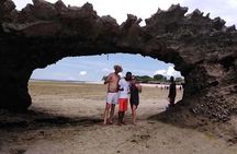 Sandbank Picnic and Dhow Sailing with Seafood Lunch