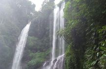 Sekumpul waterfall & aling2 waterfall with private service (including activity)