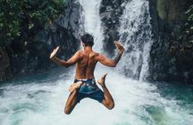 Sekumpul waterfall & aling2 waterfall with private service (including activity)