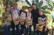 Angelópolis Coffee Tour