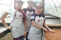 Angelópolis Coffee Tour