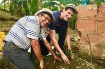 Angelópolis Coffee Tour