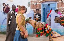 Aswan Nubian Village