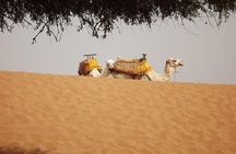 Massa 4x4 & small dunes with lunch day trip from Agadir