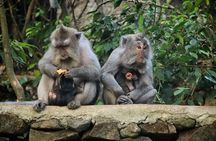 Private Custom Tour: 10-hour Tailor Made Tour of Bali