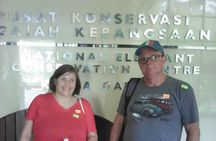 Kuala Gandah Elephant Sanctuary with a Batu Caves Visit