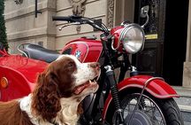 Sidecar Tours Belgrade