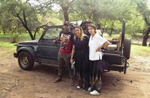 Ranthambore Tiger Safari Day trip from Jaipur - All Inclusive