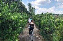  Non-Touristy Mekong Delta with Biking in Ben Tre Private Tour