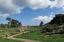 Temple of Artemis-Brauron Half Day Private Tour 4 seat 