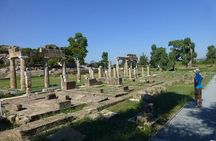 Temple of Artemis-Brauron Half Day Private Tour 4 seat 