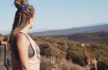 2 Day South African Wildlife Tour with 4x4 Safari from Cape Town