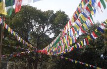 1 day Hike to Jamacho Monastery
