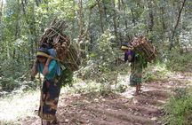 1 day Hike to Jamacho Monastery