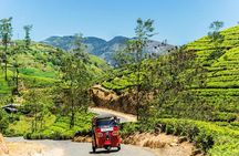 Kandy City Tour 