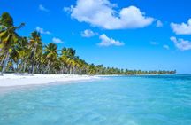  Saona Island Paradise Full Day - all inclusive. From Punta Cana & Bayahibe