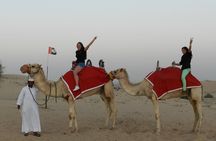 Desert Safari in Dubai Red Dunes with BBQ VEG Dinner