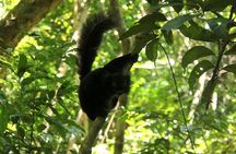Lokobe Reserve