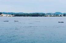 Corfu Private Yacht Cruise