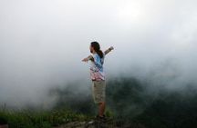 El Yunque Rainforest Full Day Private Tour
