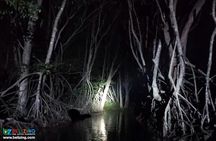 Bioluminescence Tour & Sunset River Cruise