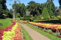 Kandy City Tour 