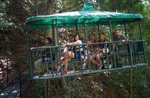 Tranopy Tour from Jaco