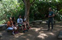 Tranopy Tour from Jaco