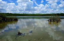 Expeditions of Cenotes in Puerto Morelos