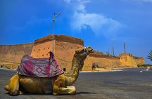 Agadir City Tour