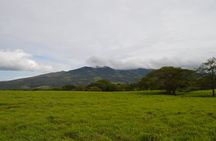 Wildlife Nature Hike, Blue Waterfall, Lunch & Sloth Trail - Tenorio Volcano Park