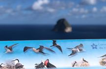 Martinique Shore Excursion - Authentic Tour of Southern Martinique