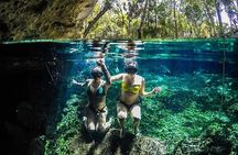 4X1 VIP Tulum, Coba, Cenote and Playa del Carmen Tour