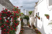 Alberobello with a local tour guide!(shared tour max.15 pax)