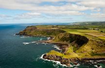 Giant Causeway, Dark Hedges & Whiskey Distillery tour from Dublin